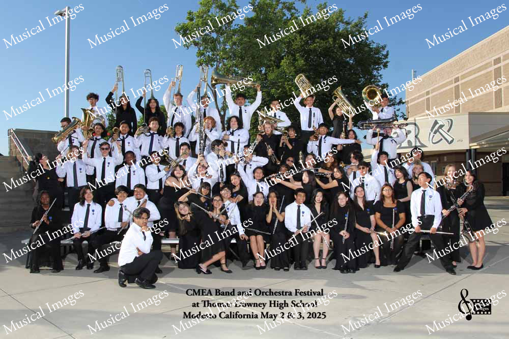 Musical Images